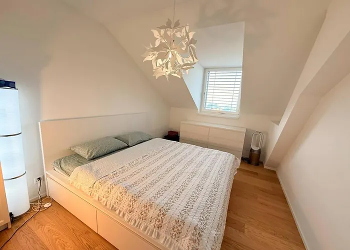 View Cozy Rooftop Flat Centre